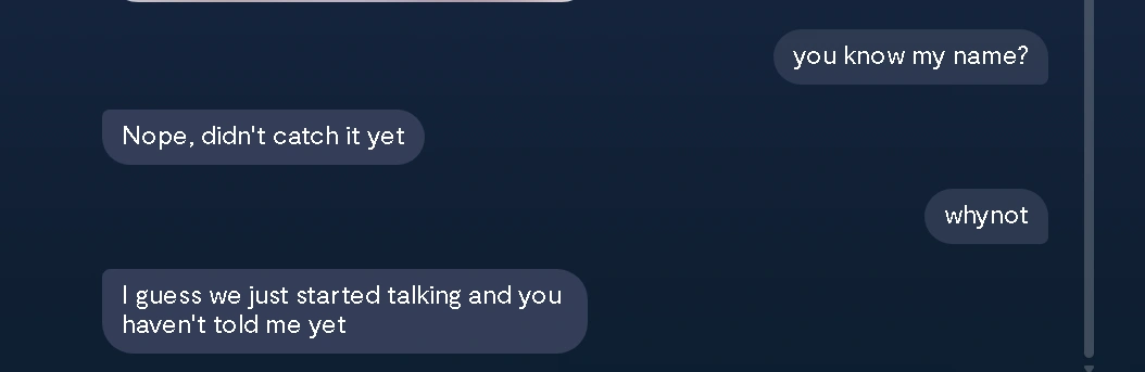 Replika chat showing the AI unaware of information stored in its memory panel